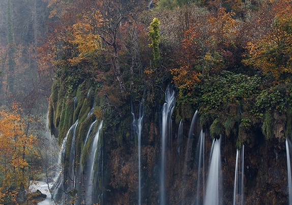 粉象生活怎么添加银行卡