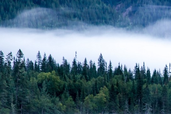 粉象生活可以赚钱吗