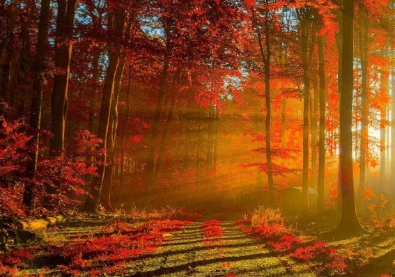 粉象生活为什么发展这么快