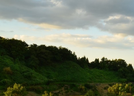 珠海粉象生活如何使用