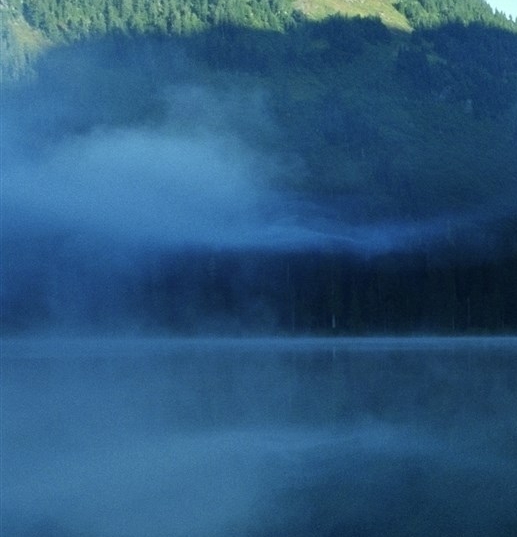 粉象生活是什么