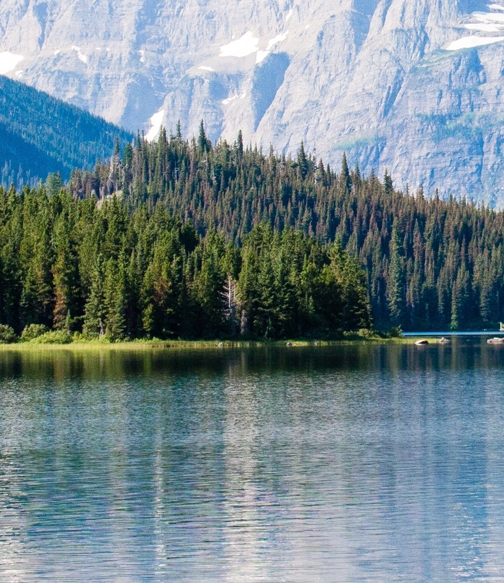 粉象生活怎么赚钱的