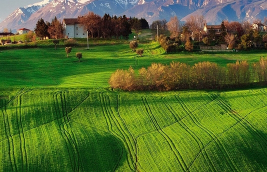 收工生活用品好词语