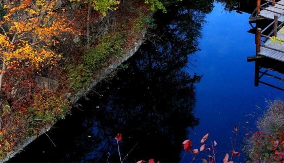 本地惠生活怎么入住