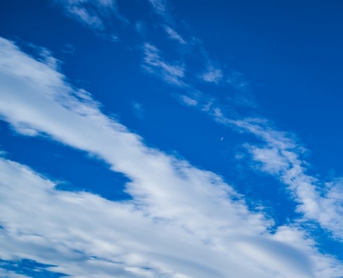 粉象生活是真的假的