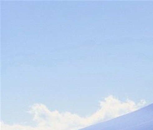 粉象生活怎么开课