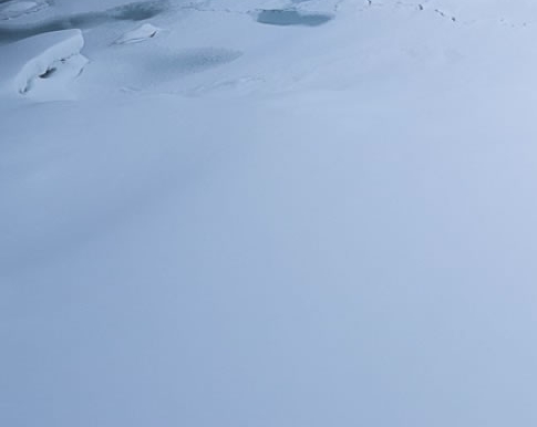 如何联系粉象生活客服