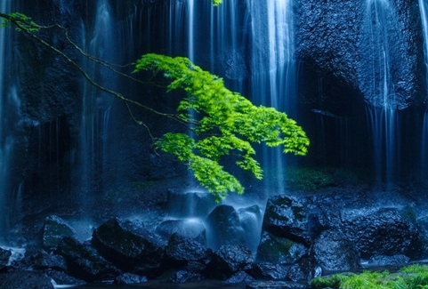 粉象生活 怎么推广