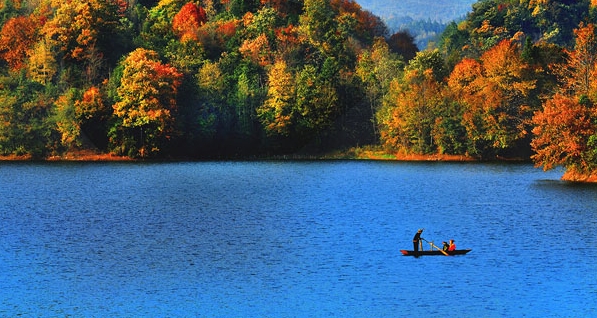 粉象生活怎么赚钱的