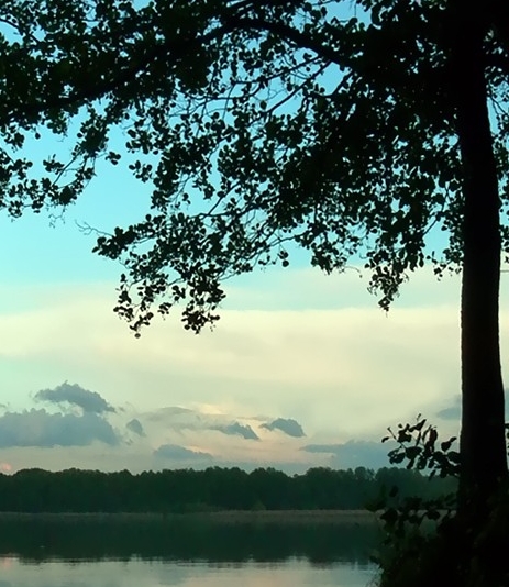 粉象生活邀请码