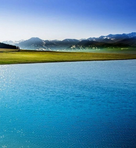 下载粉象生活步骤