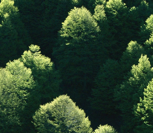 粉象生活是干嘛的