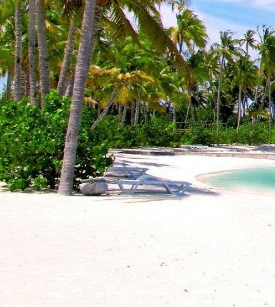 生活所迫的伤感句子