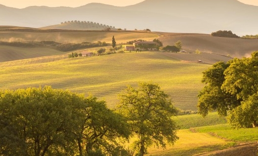 粉象生活卖东西