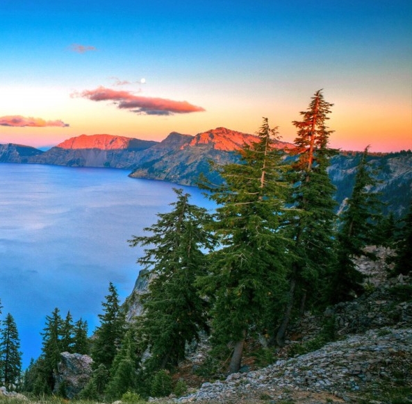 粉象生活拆红包是真的吗