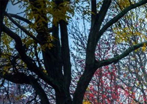 粉象生活怎么注册新号