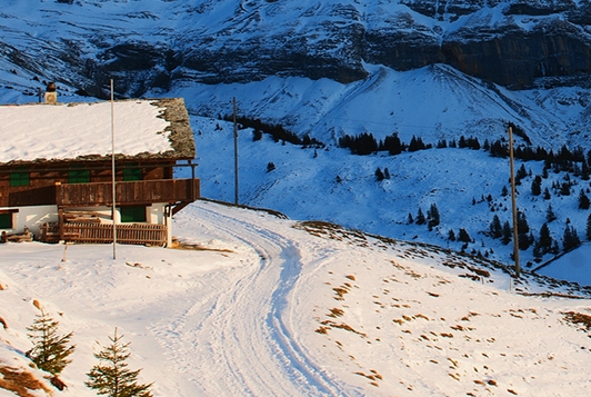 粉象生活详细攻略