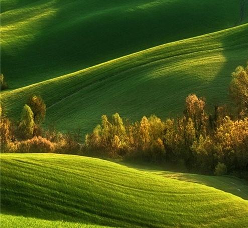 济南粉象生活app