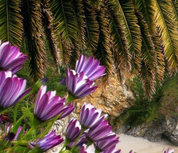 如何做好粉象生活