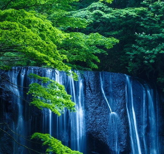 粉象生活京东券