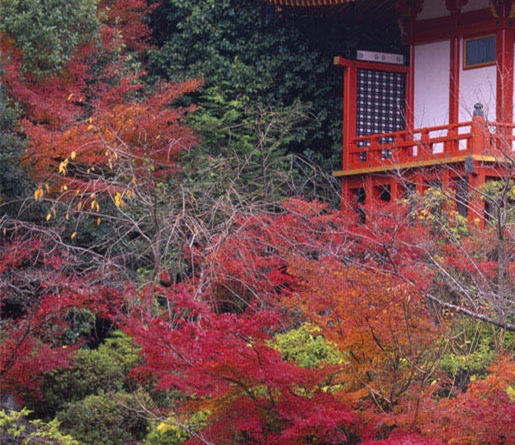 有没有跟粉象生活类似的软件