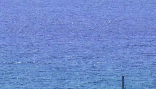 粉象生活怎么买到3一5元卷纸