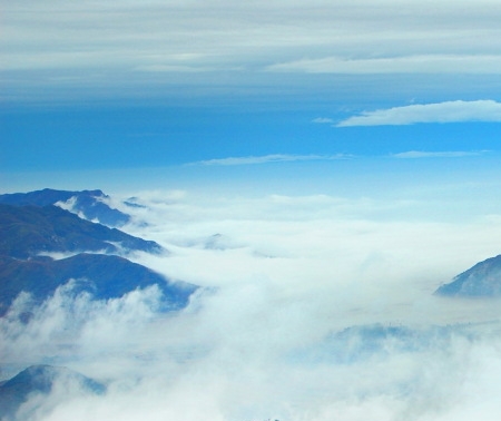 粉象生活手机版提现