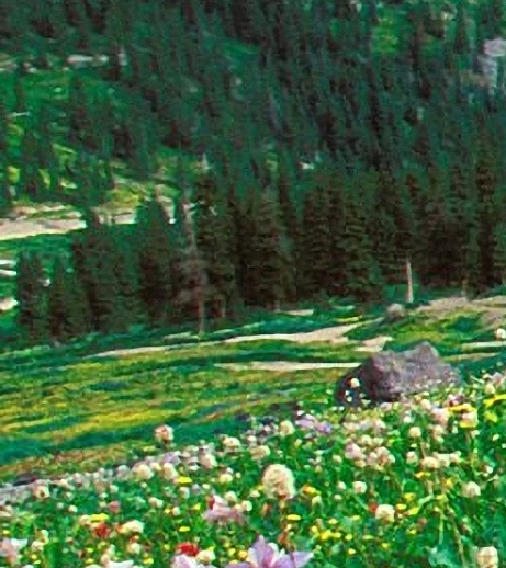 粉象生活宝妈如何挣钱