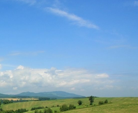 上海高端粉象生活怎么样