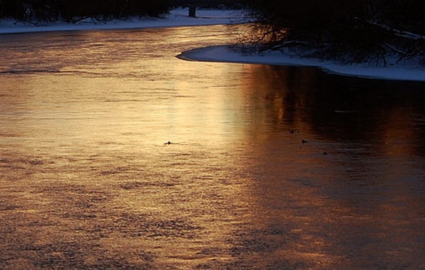 粉象生活能赚钱吗