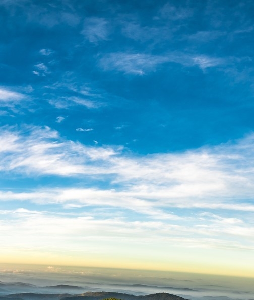 粉象生活粉丝怎么增加