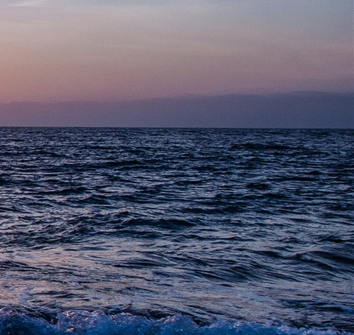 下载粉象生活最新版