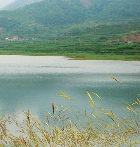 如何成为粉象vip会员