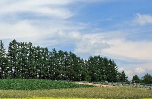 如何在粉象生活上删除粉丝