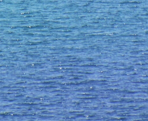 粉象生活免费升级VIP