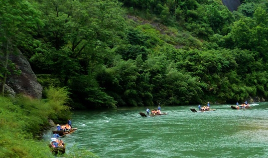 粉象生活粉丝怎么增加