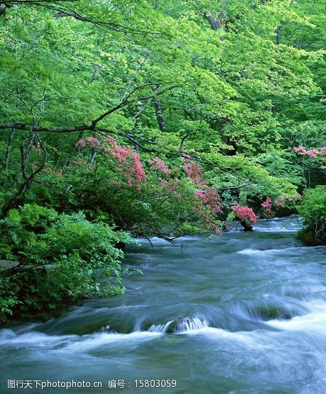 山东粉象生活会员