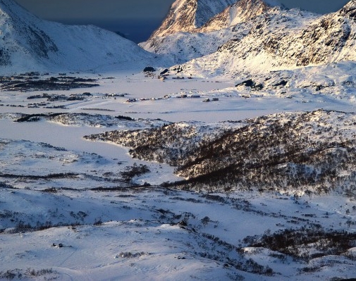粉象生活做任务的是真的吗