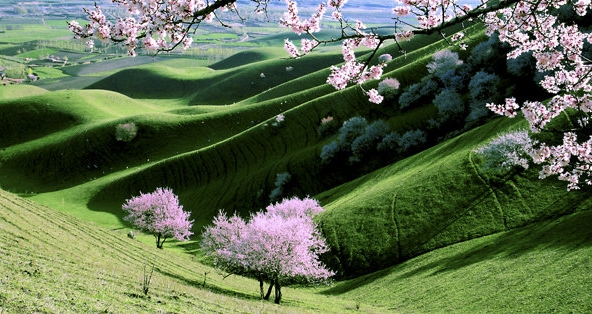 粉象生活加班情况