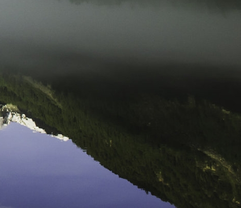 粉象生活招商怎么做