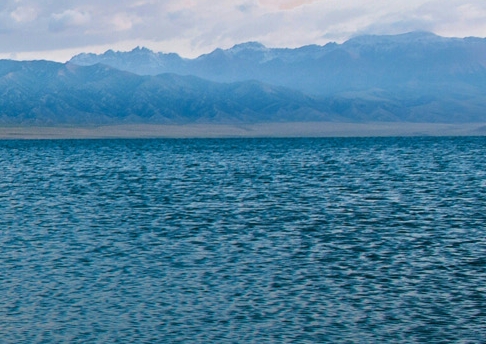 粉象生活和淘宝什么关系