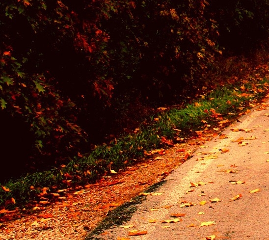 粉象生活和京东哪个靠谱