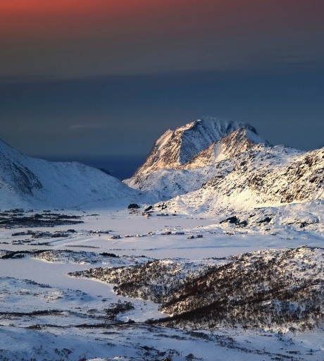 粉象生活的用户有多少