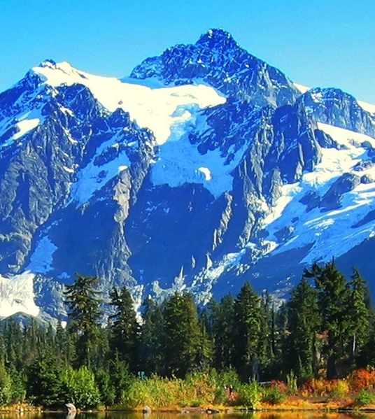 粉象生活粉丝怎么增加