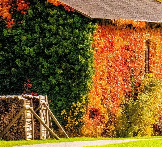 粉象生活的购物分享是什么