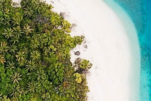 粉象生活邀请码