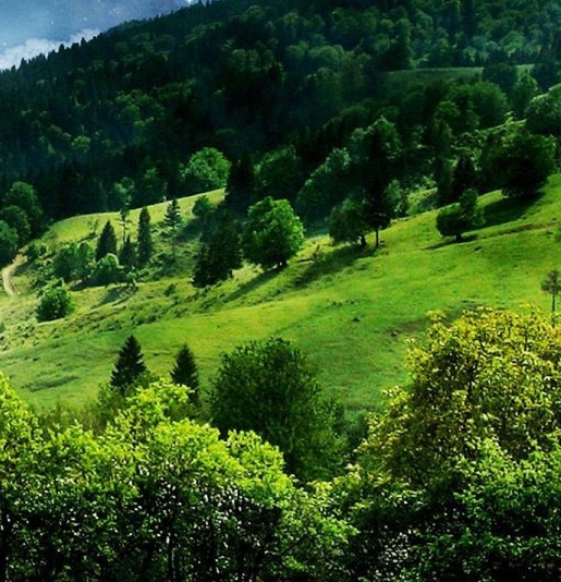 粉象生活能赚到钱吗