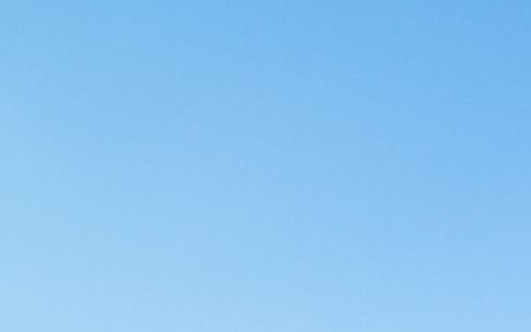 东莞粉象生活app