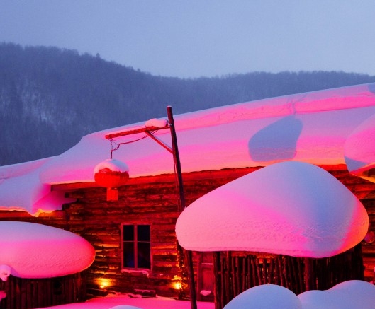 粉象生活商业闭环