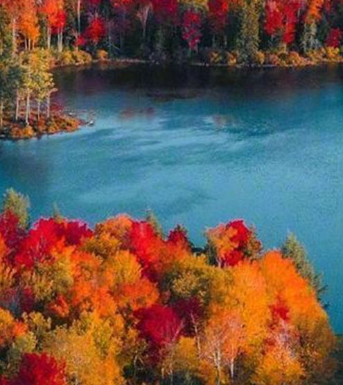 粉象生活是什么